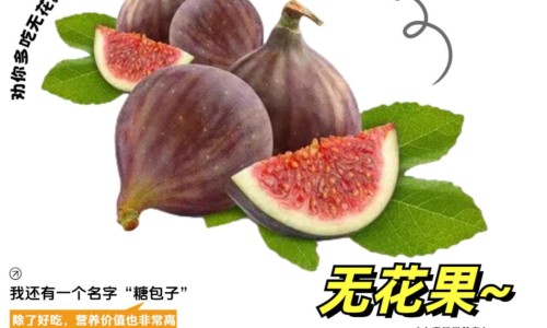 有冠心病有哪些症状吃什么药网- 有冠心病有哪些症状吃什么药好知识,分享有冠心病有哪些症状吃什么药最好